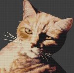 (image for) Slightly Irritated